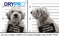 Dry Pro Carpet Cleaning 1055678 Image 3